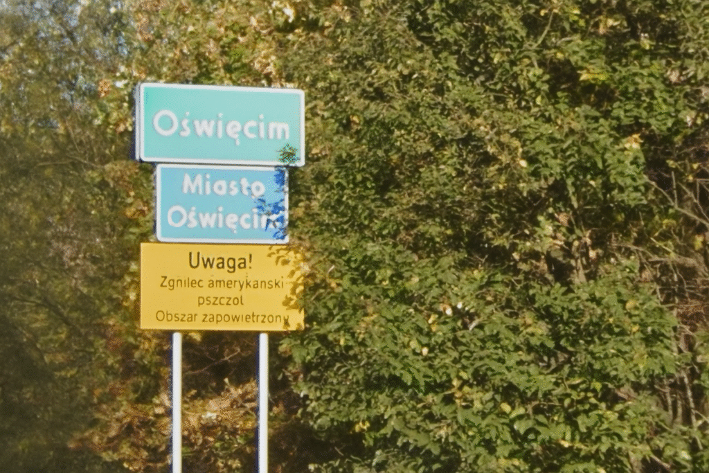 Road sign for Oświęcim (Auschwitz) seen when travelling from Krakow