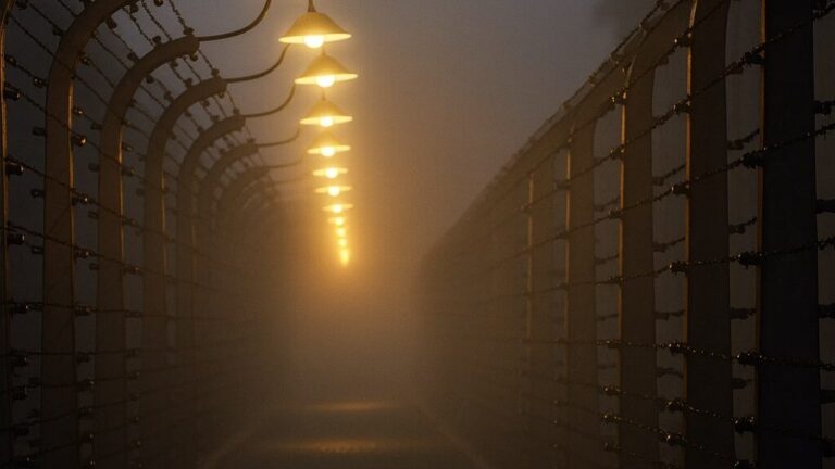 Auschwitz resistance: barbed-wire corridor with lamps glowing in fog (symbolic)
