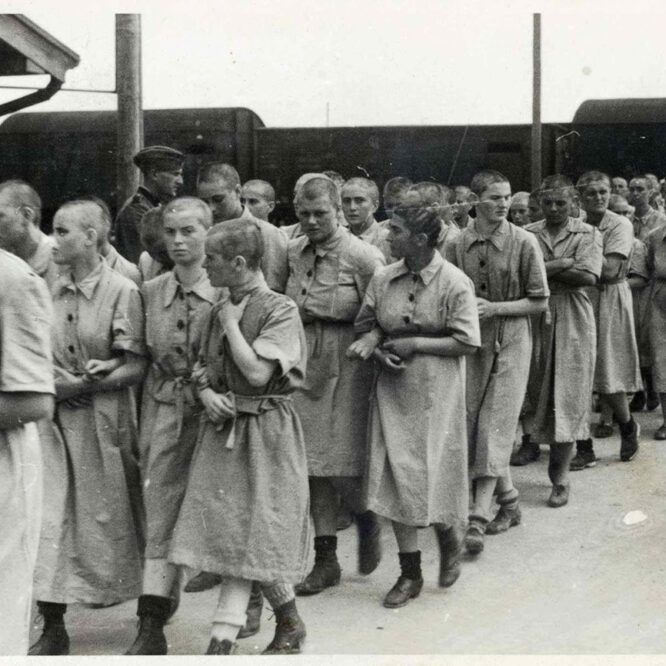 Women in Auschwitz – female prisoners at Birkenau assigned to forced labour in 1944