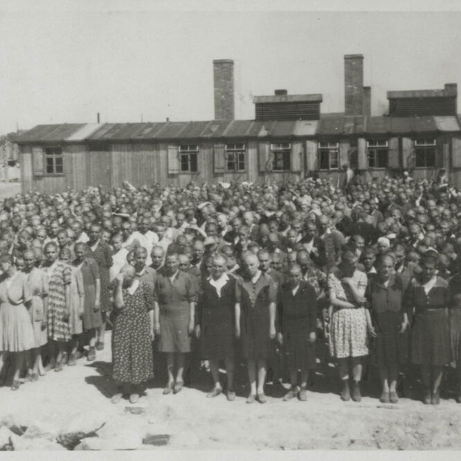 Daily life in Auschwitz – female prisoners at roll call in Birkenau, 1944