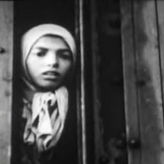 Roma in Auschwitz – Settela Steinbach, Dutch Romani child transported from Westerbork to Auschwitz in 1944