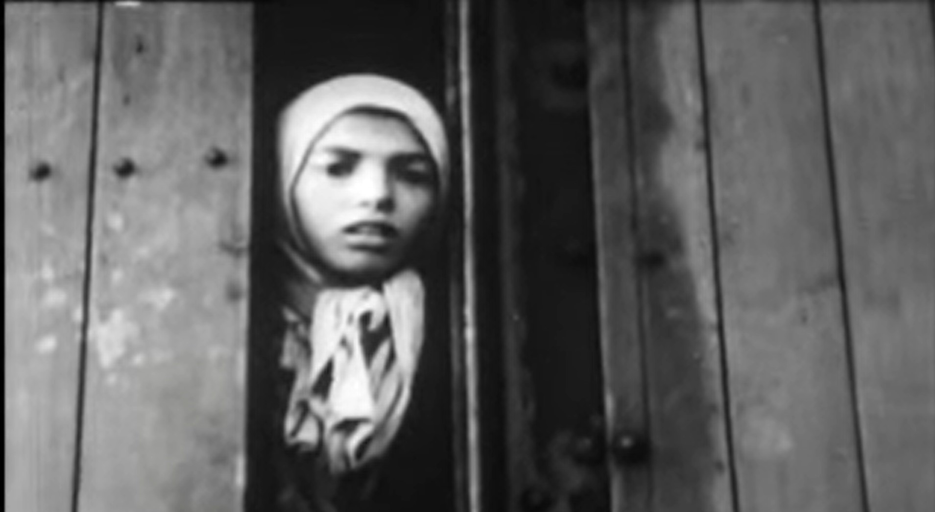 Roma in Auschwitz – Settela Steinbach, Dutch Romani child transported from Westerbork to Auschwitz in 1944